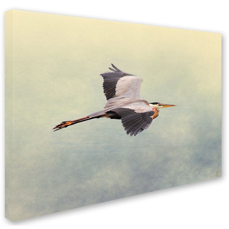 «Blue Heron in Flight 1» par Vidur, impression sur toile tendue, H 35 po x l 47 po