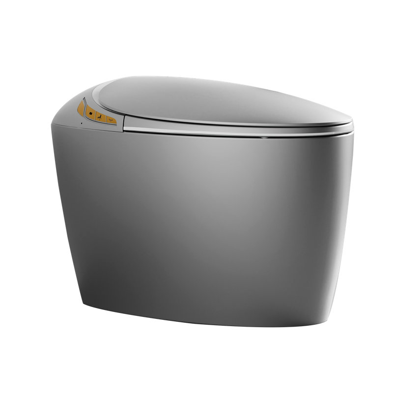 Toilette intelligente Willow Modern avec couvercle d'ouverture / fermeture automatique et capteur de pied, Gris