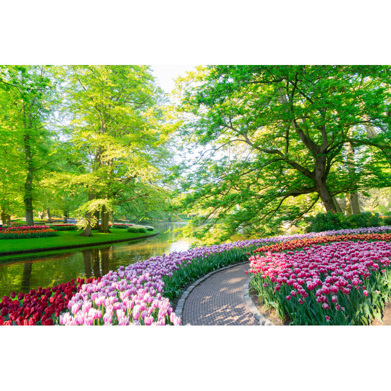 Fresh Lawn With Flowers - Wrapped Canvas Print, 30cm H x 46cm W x 3.8cm D