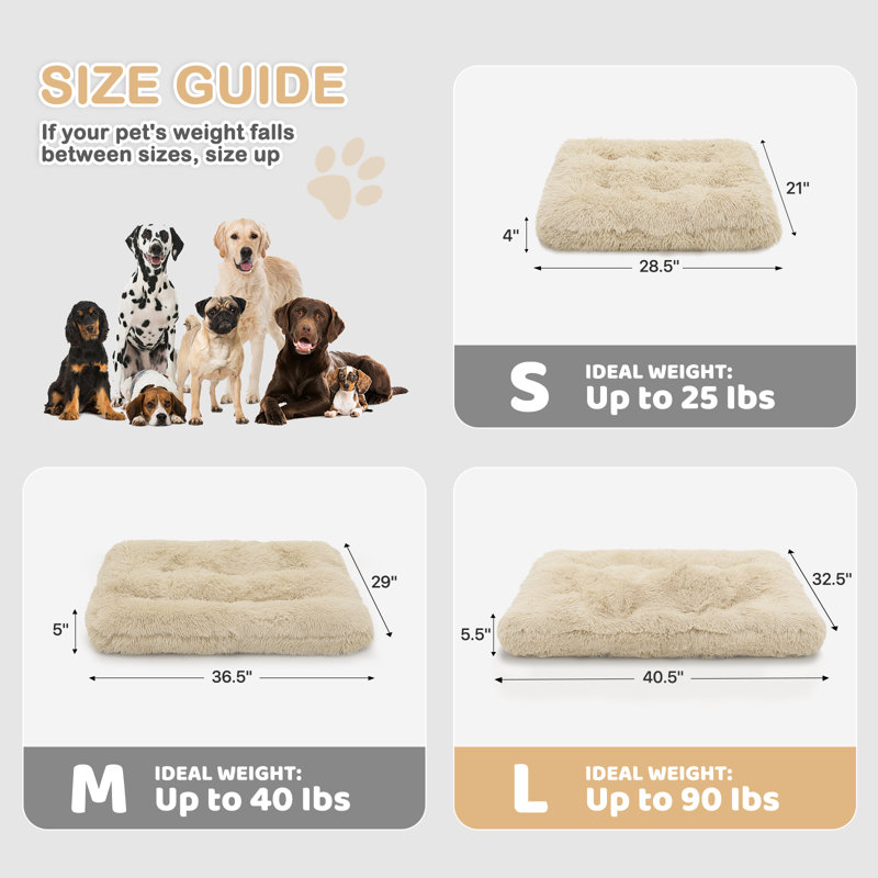 Coussin de siège pour animal de compagnie, Beige, Grand (H 5 po x l 39 po x P 29 po)
