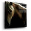«Spirit Horse» par Tony Stromberg-845903408