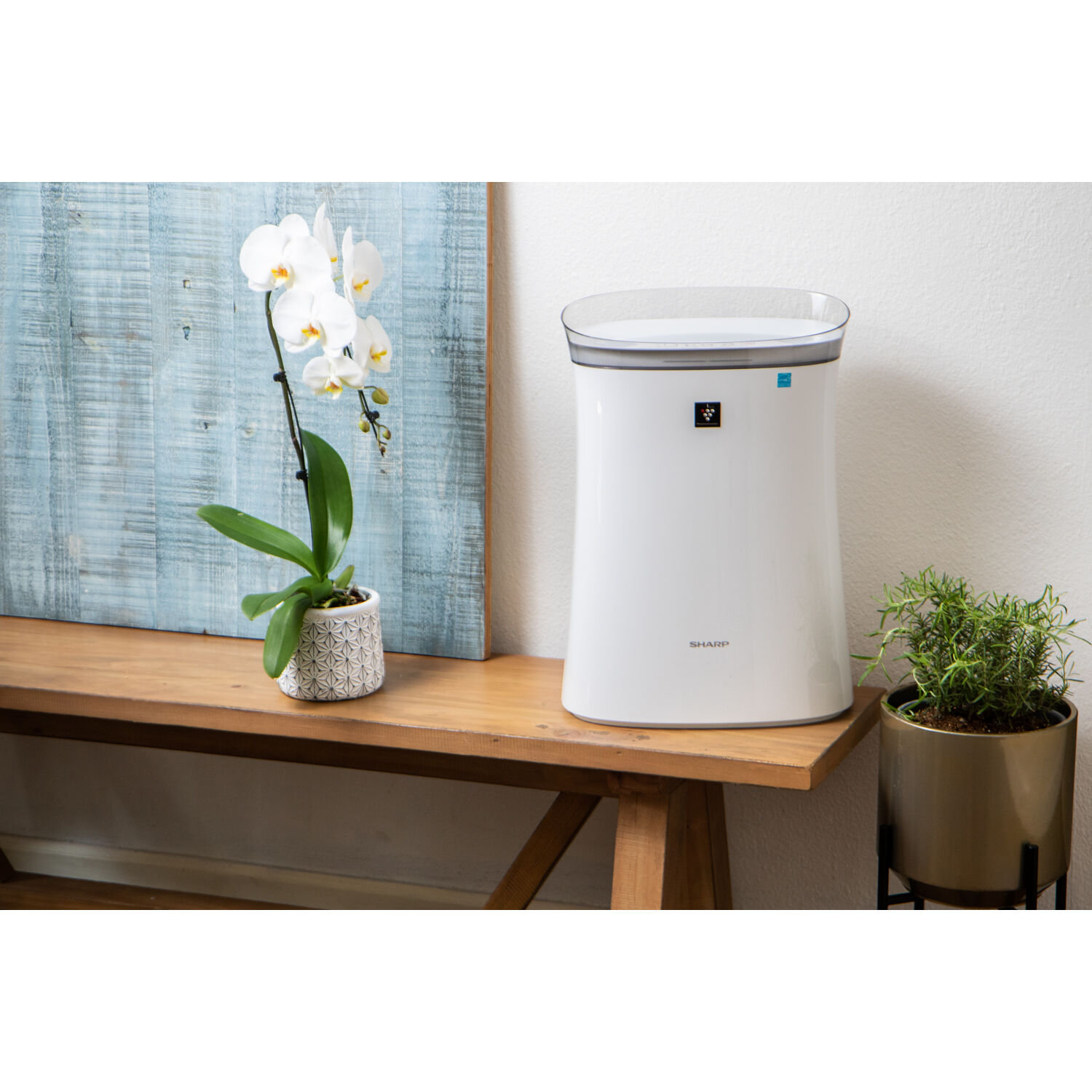 ELEOPTION Console Air Purifier with Ozone Generator Filter