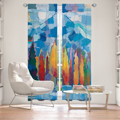 Delaini Room Darkening Curtain Pair