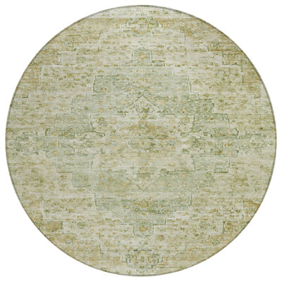 Machine Washable Indoor/Outdoor Xhevrie Sage Rug