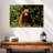 Yosemite Bear-107675247