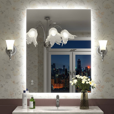Miroir de salle de bain Wayfair Basics