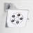 Rainier 1.75 GPM Adjustable Shower Head