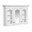 Bathroom Storage Cabinet with Mirror Door and Shelves