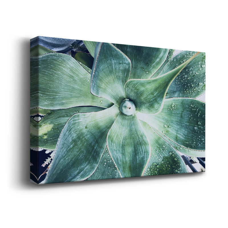«Green Tropical Succulent VII», reproduction sur toile tendue, L 36 po x H 24 po