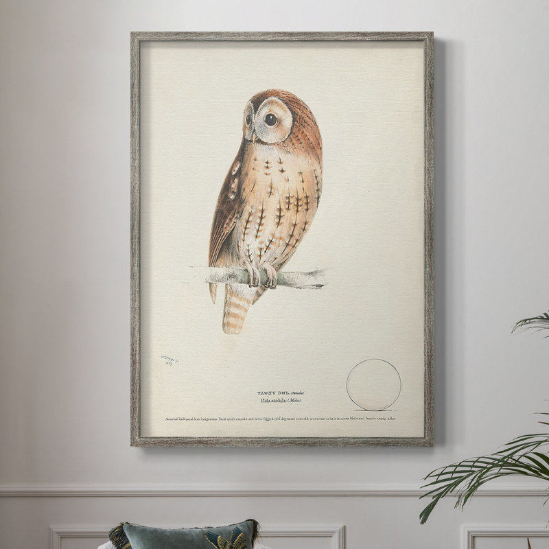Tawny Owl Framed Print - Solid Wood, 11" H x 9" W