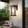 Kymeshia Wall Light