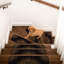 Tapis d'escalier Antwun-1411338544