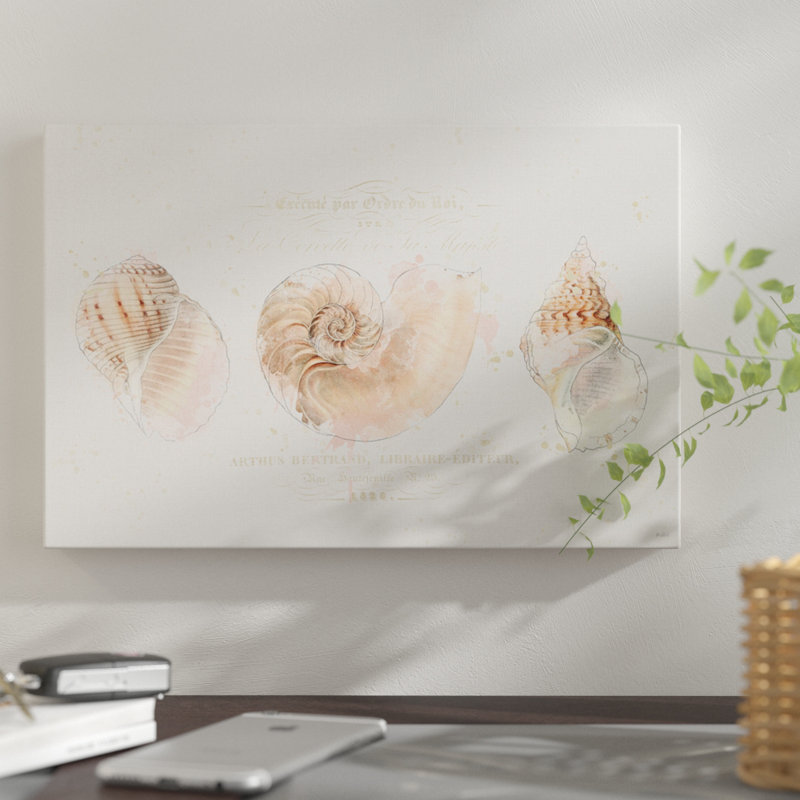 «Shell Collector I», reproduction d'impression sur toile tendue, H 12 po x l 18 po x P 1,5 po, Toile tendue, Pas de tapis