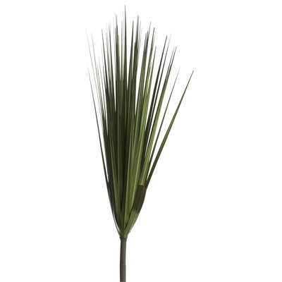 Herbe sauvage 30 po