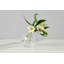 Glass Sphere Bud Vase-768581685
