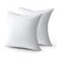 Ensemble de 2 coussins moelleux-121335030