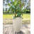 Amsterdan Pot Planter-50341602-50346400