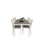 Alaura 6 - Person Patio Dining Set with Rectangular Table , Cushions Included-2029695661