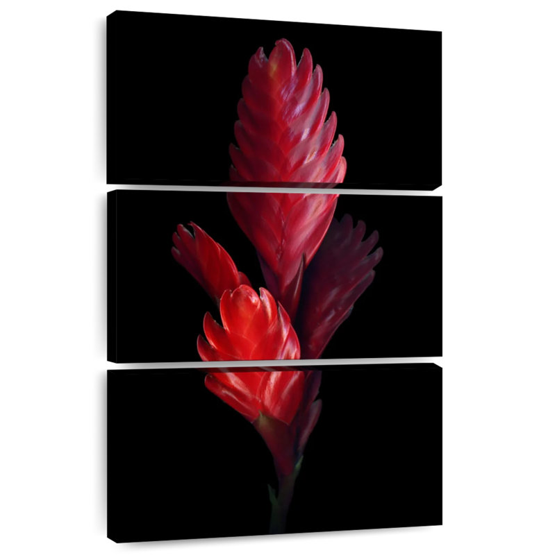 Harnek Bromeliad, 74" H x 48" W