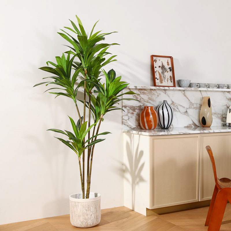 Adcock Artificial Dracaena Tree in Plastic Pot for Indoor/Outdoor Use, 71" H x 30"D x 11.44" W