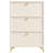 24 Pair Shoe Storage Cabinet with 3 Flip-out Drawers-1865293814