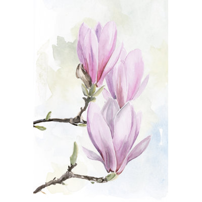 Magnolia Blooms I by Jennifer Paxton Parker - Painting