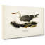 Herring Gull by Von Wright - Wrapped Canvas-55359907