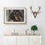 Portrait of a Dachshund Dog - Picture Frame Painting Print on MDF-56758385-56758380