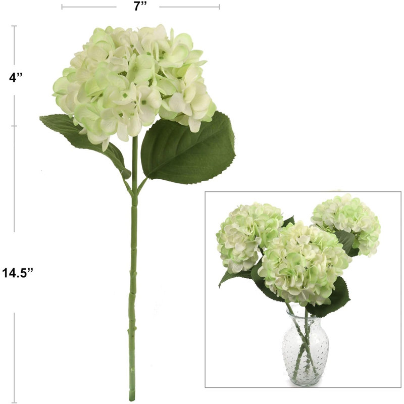Tige d'hortensia 18 po - paquet de 6