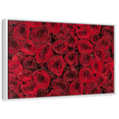Summer Red Roses