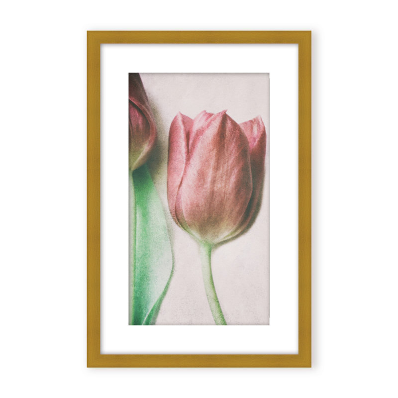 Nature Inspired The Spring Lovers by  - Picture Frame Graphic Art on Paper, Framed Canvas, 48" H x 32" W x 2.375" D, White