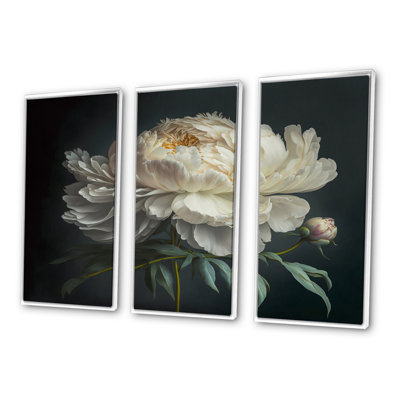 Blooming White Peony V - Blooming White Peony V - reproduction de cadre flottant sur toile 3 pièces