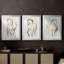ANIMALS Series CCCCLX - Impression sur mesure encadrée de qualité supérieure - 3 pièces-55807915-55807919