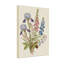 Arrangement floral de plantes et de fleurs avec iris et delphinium-869150205