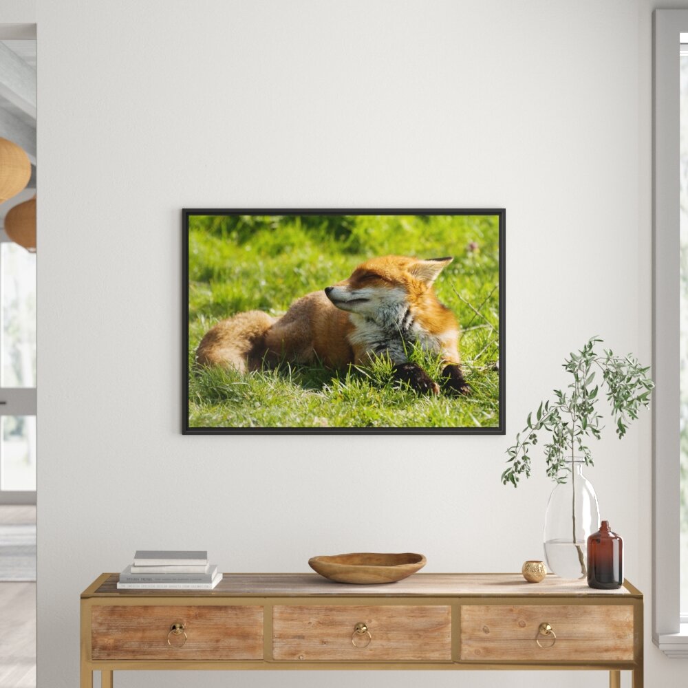 Gerahmtes Wandbild Kleiner Fuchs auf Wiese