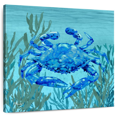 Brampt Tonga Sealife III