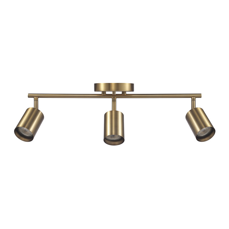 21'' 3 -Light Track Track Kit with Dimmable, Brass