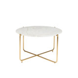Timpa Marble Coffee Table