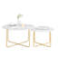 Afeni Coffee Table