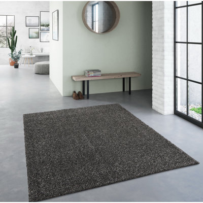 Salina Solid Colour 120cm X 170cm Area Rug