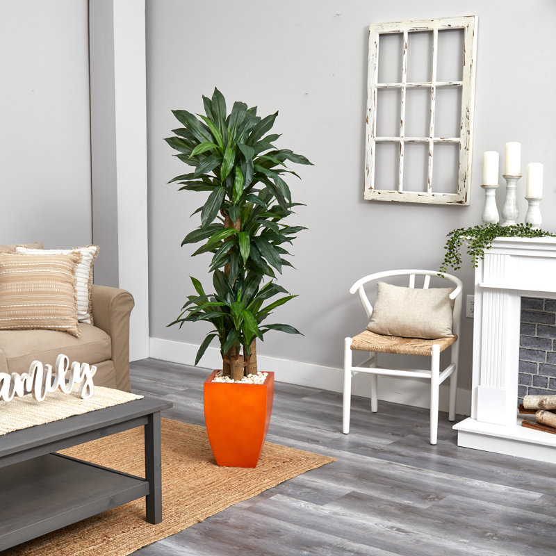 66 " H Faux Dracaena Plant in Ceramic Planter