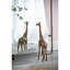 Versatile Wall-Mounted Coat Rack With Shelf And Multiple Hooks For Efficient Entryway Organization