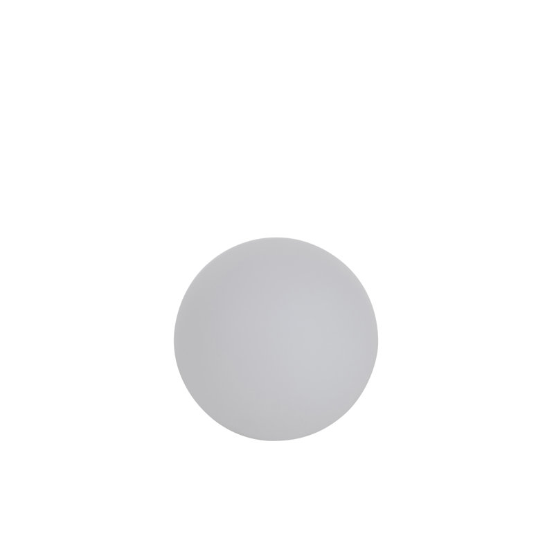 Globe Lamp