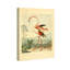 Reproduction d'art sur toile Kylaa-2010175998