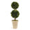 Preserved Boxwood Double Ball Topiary in Pot