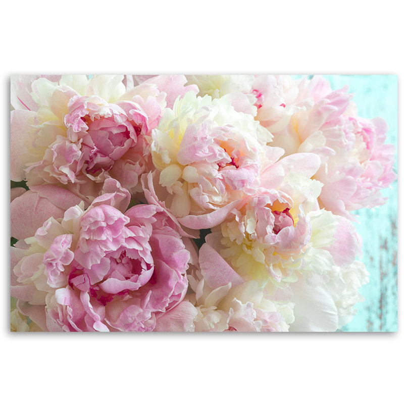 Pink Peony Flowers - No Frame Print on Canvas