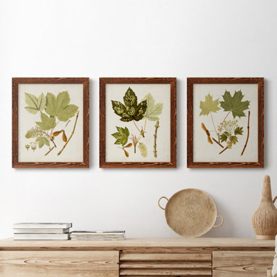 " Antique Leaves IV " 2 - Pieces Painting Print