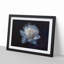 Blue Magnolia Flower in Abstract - Picture Frame Graphic Art Print-55687154-55687153