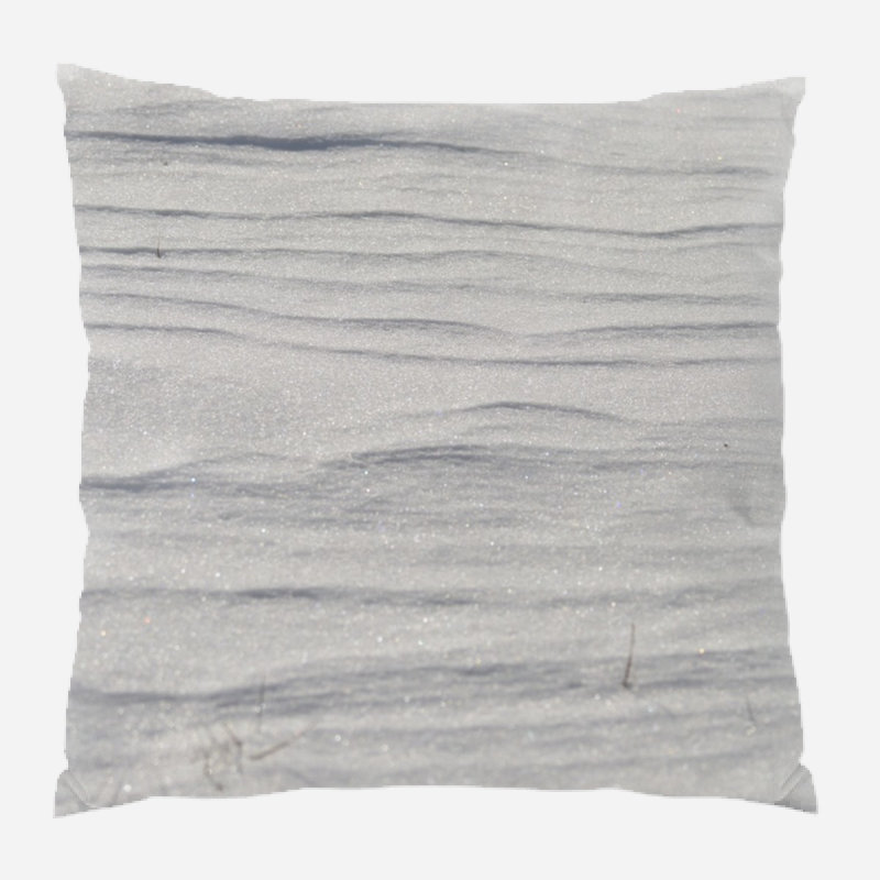 Coussin bonhomme de neige, Intérieur