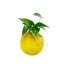 Vase à racine déchirante Sanora-24223212-24223210